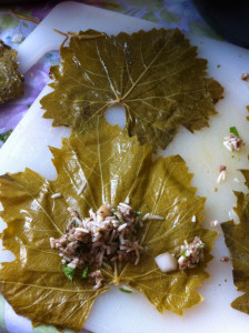 Vinbladsdolma från Irak